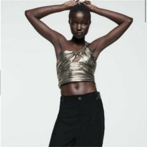 Zara Metallic Top
